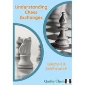 Understanding chess exchanges
