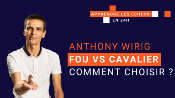 Fou vs Cavalier