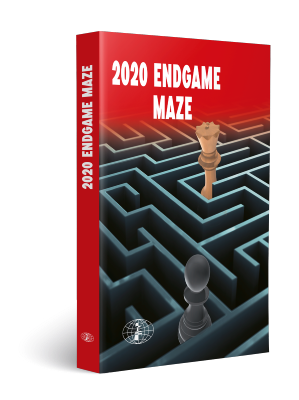 2020 endgame maze